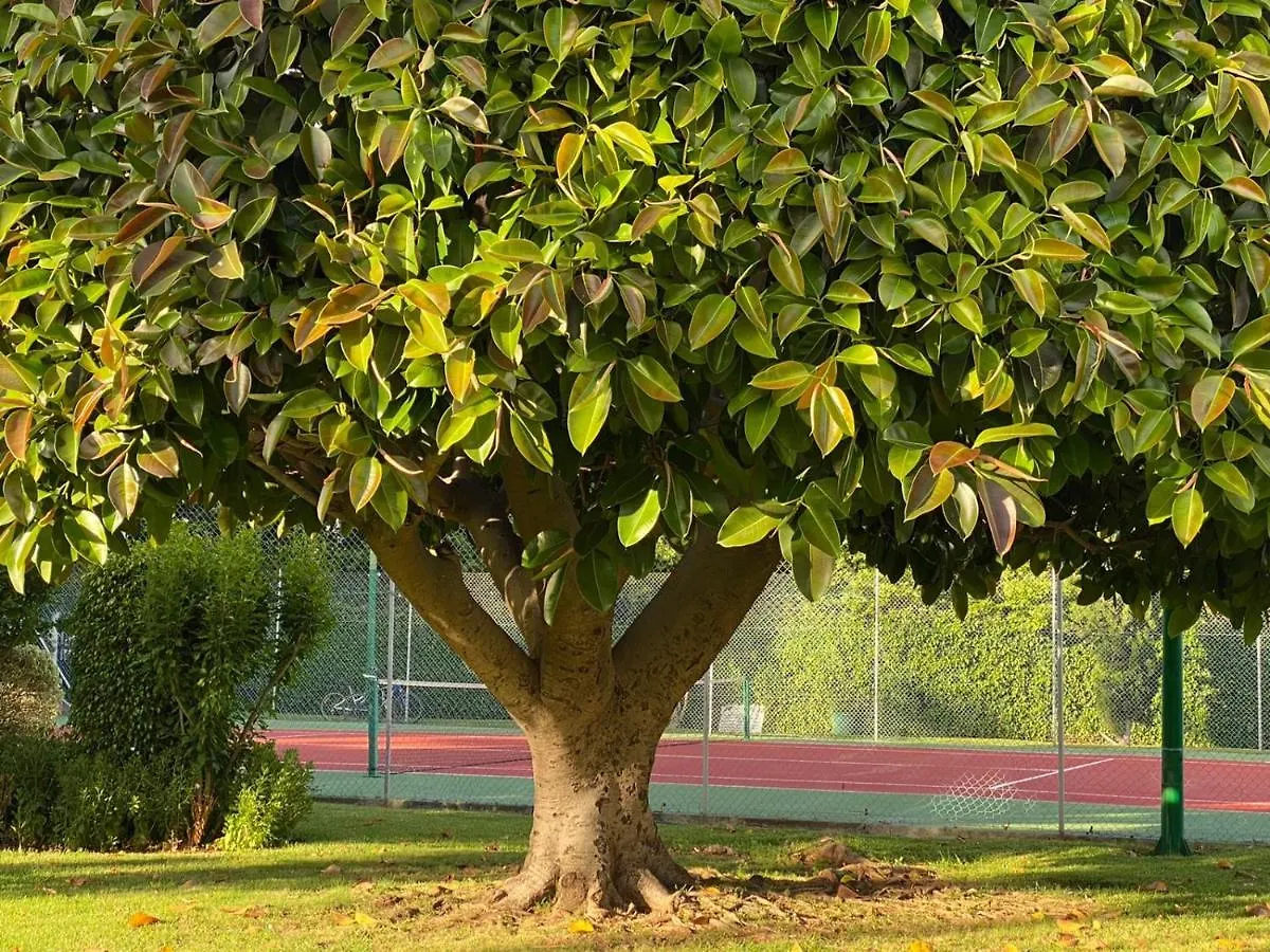 Marbella - Estudio En Urbanizacion Parque La Carolina 아파트